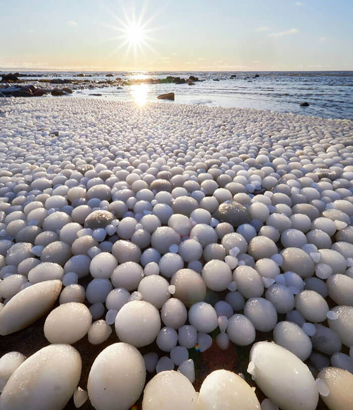 Not Regular Eggs but Ice Eggs, Formed When Ice Is Rolled Over by Wind and Water