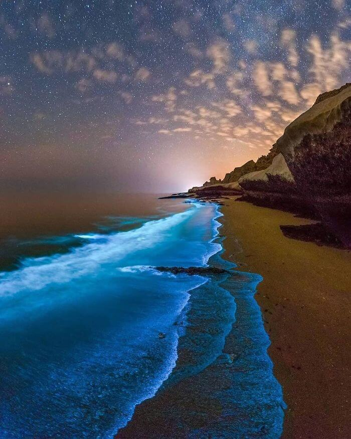 The Shoreline in The Persian Gulf Glows Up In The Blue Bioluminescent Light Of Phytoplankton