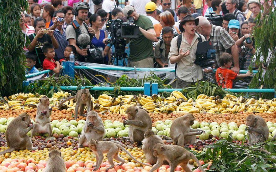Monkey Buffet Festival (Thailand)