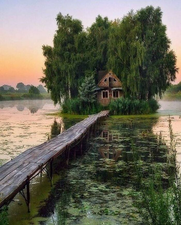 Abandoned House In The Swamp