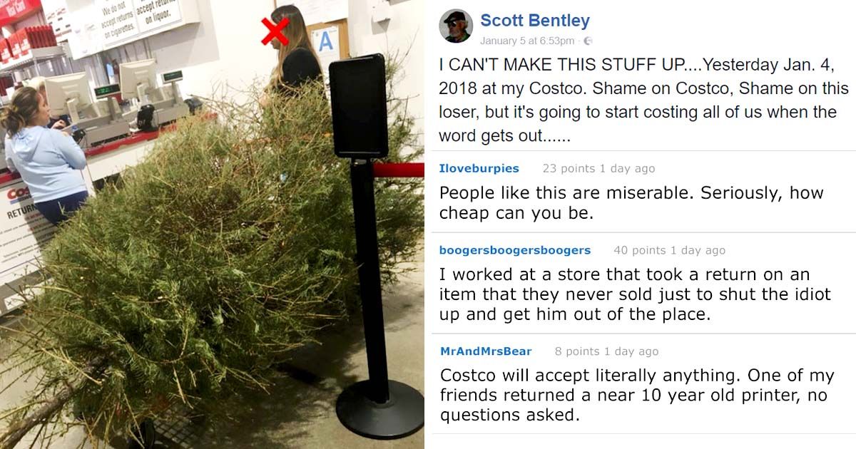 A Dead Christmas Tree and the Store's Response - Whoa, What a January 4th Situation
