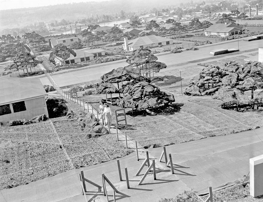 17 Rare Images Unveil the Counterfeit Rooftop Town Created to Camouflage Boeing's Factory From Japan's Bombing Attacks